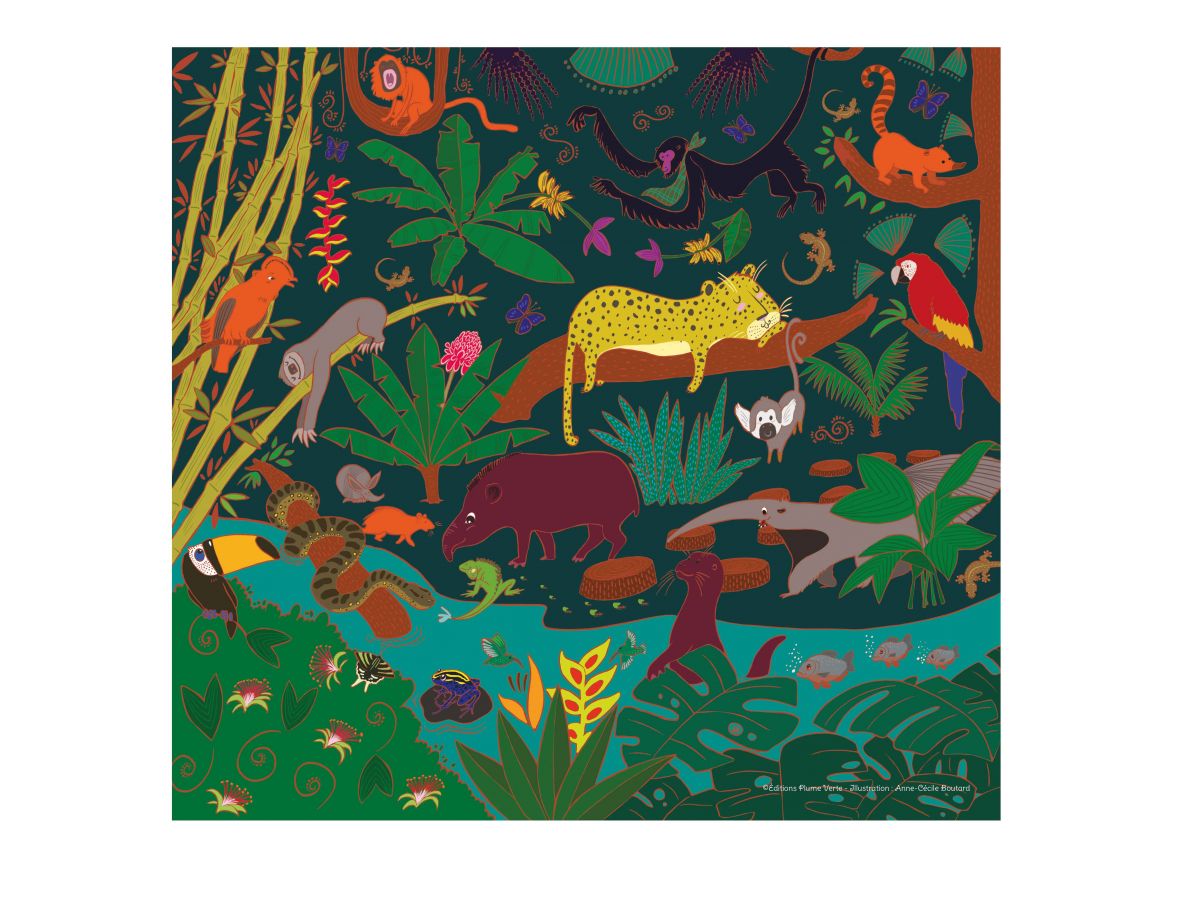 ILLUSTRATIONS JEUNESSE JUNGLE ANIMAUX PUZZLE