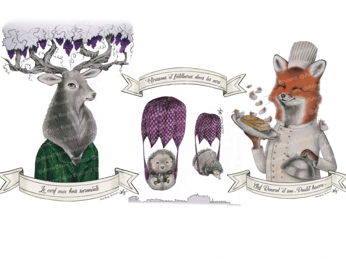 Animaux région